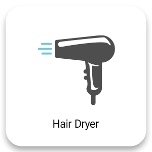 Hair Dryer en Hair Dryer